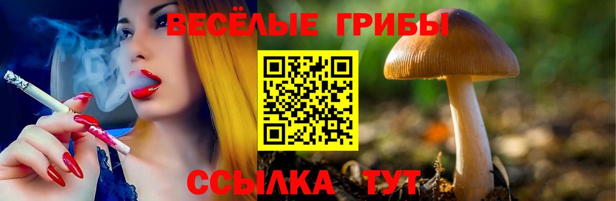 Псилоцибиновые грибы Psilocybe  Псилоцибиновые грибы Psilocybe  Усть-Джегута  Вход с VPN 